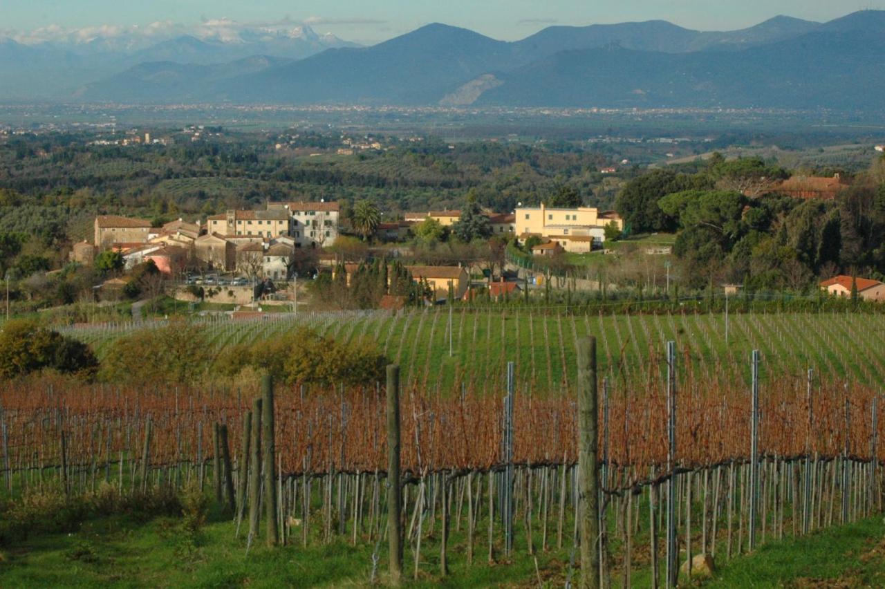 Ciglieri Santermo Casciana Terme Lari Pet&Bike Friendly Free Park Apartment Luaran gambar